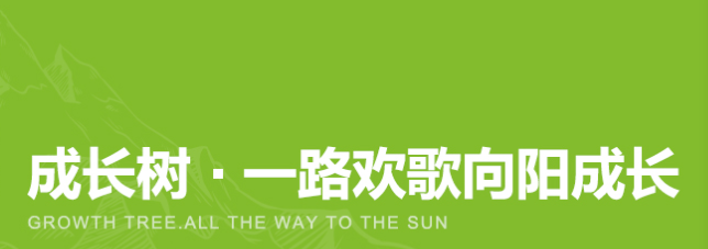 會議椅有哪些常見的功能和調(diào)整選項？（了解會議椅的功能及調(diào)整方式）